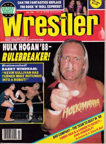 633043035_1988-07-THEWRESTLER.jpg.acf01a9907aba3b02499890df6f0ff1c.jpg